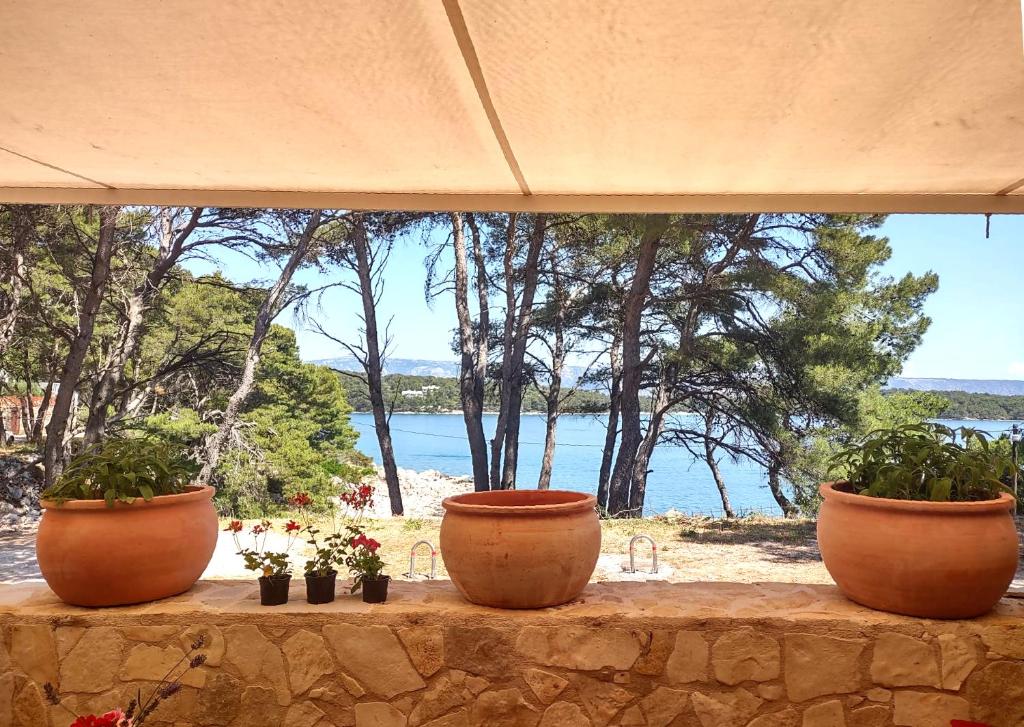 tres macetas sentadas en una pared de piedra con vistas al océano en Stone Villa Hvar Ana and Nikola Beachfront en Jelsa