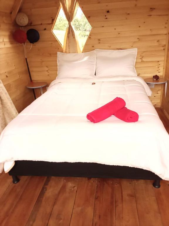 Postel nebo postele na pokoji v ubytování Glamping las 4 estaciones
