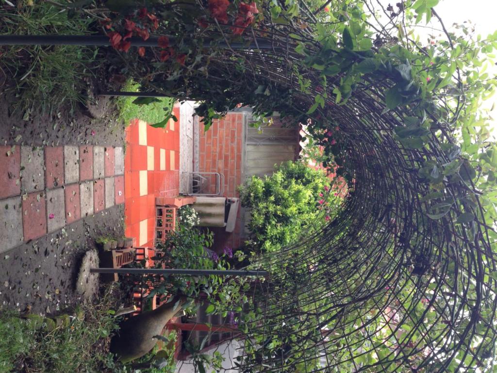 Zahrada ubytování Hostal el Parque Tababela