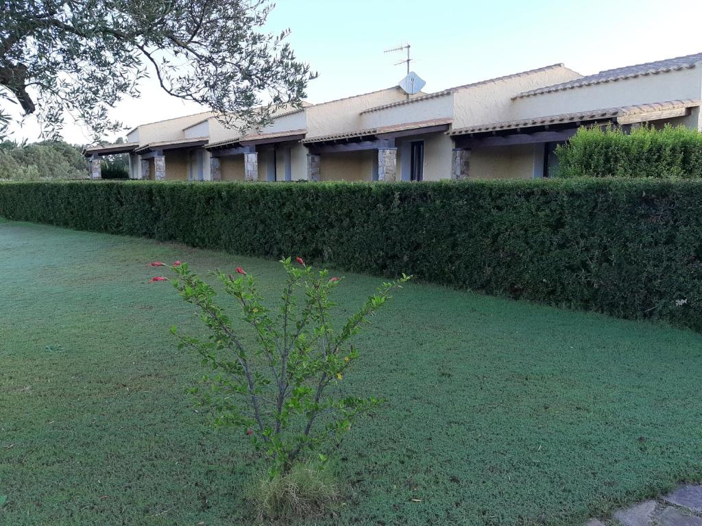 Zahrada ubytování Agriturismo Is Solinas