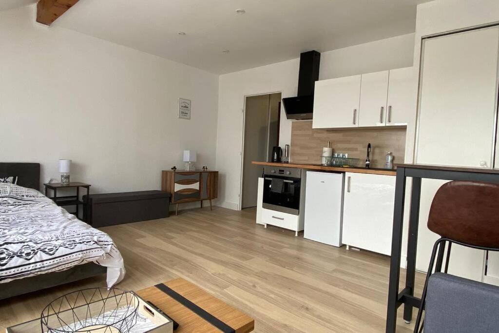 ein Wohnzimmer mit einem Bett und eine Küche in der Unterkunft Studio des Arts - Netflix et wifi in Thonon-les-Bains