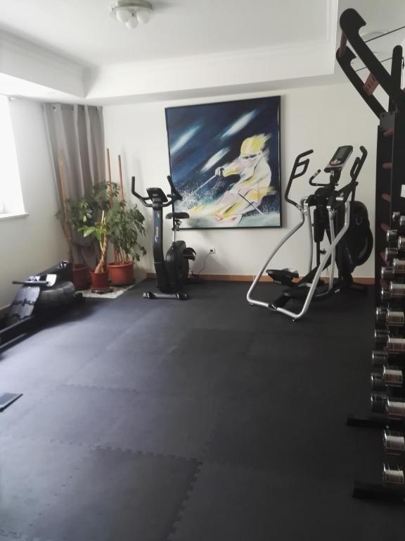 Fitness centrum a/nebo fitness zařízení v ubytování Raffl's Hotel