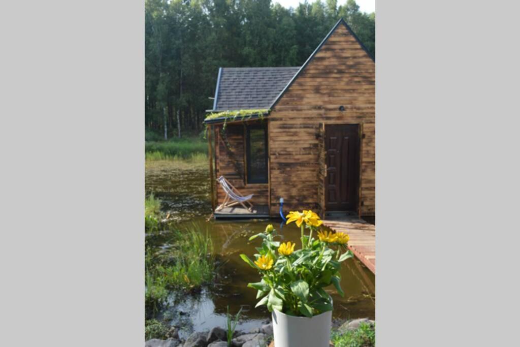 Vonkajšia záhrada v ubytovaní heather hut, off-grid cottage on a pond+2 ha