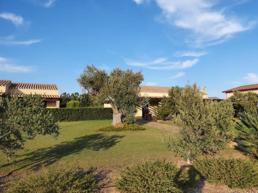 Zahrada ubytování Agriturismo Is Solinas