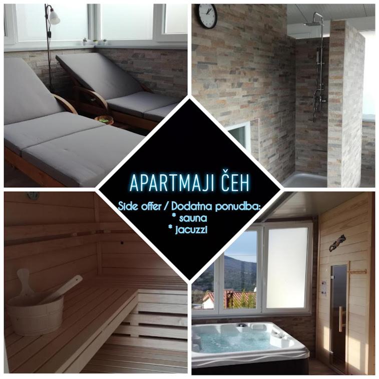 Apartma Čeh - Apartment With Terrace