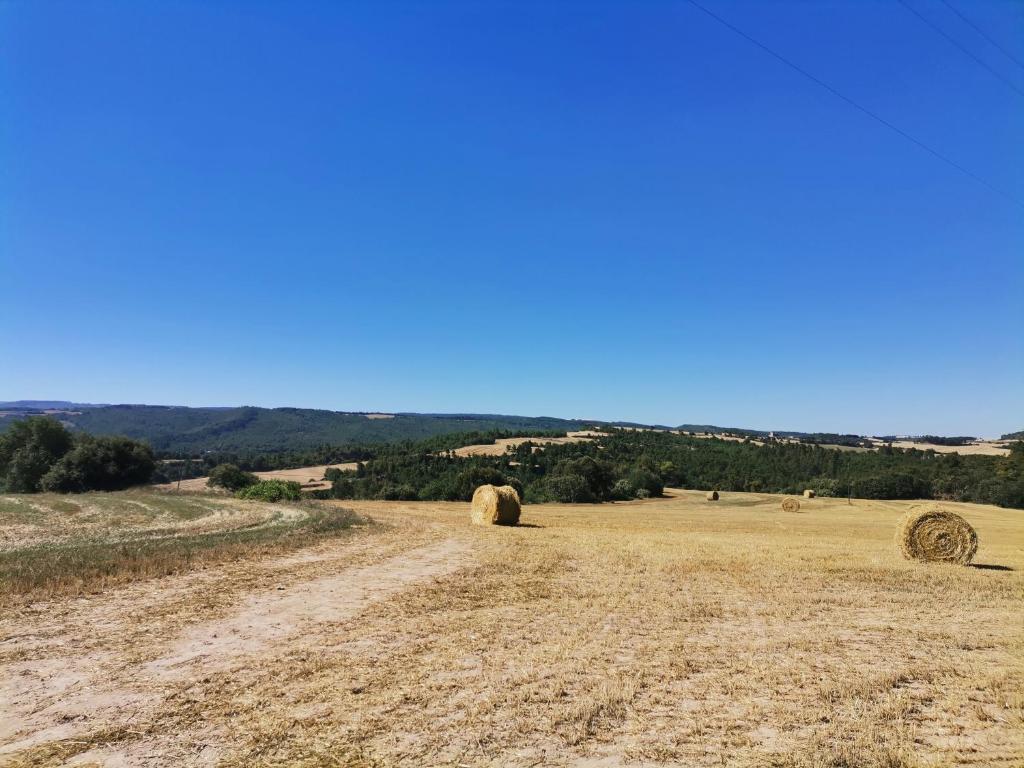 Príroda v okolí dovolenkového domu