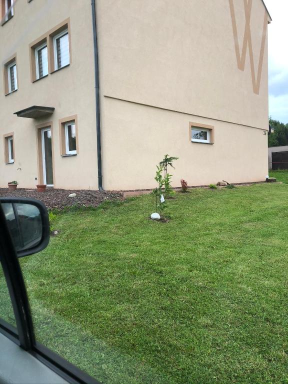 a small tree in a yard next to a building at W apartmán 2 in Teplice nad Metují