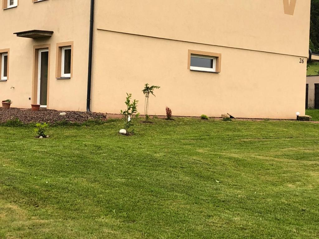 a house with a green yard with a building at W apartmán 2 in Teplice nad Metují