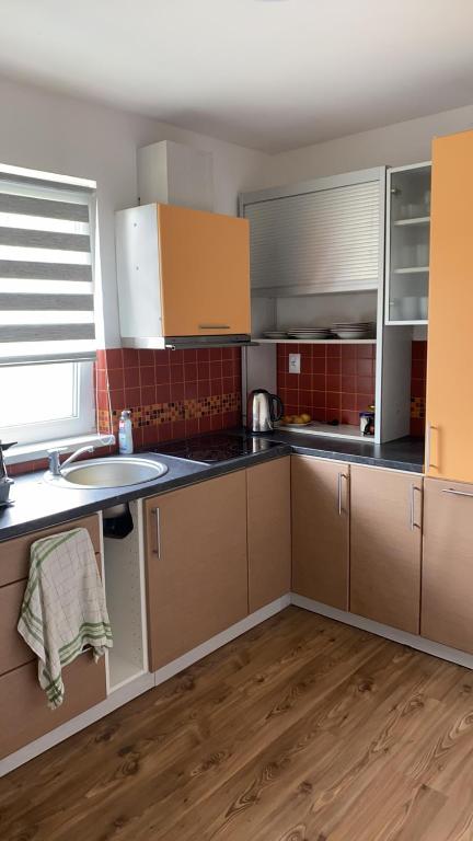 a kitchen with brown cabinets and a sink at W apartmán 2 in Teplice nad Metují