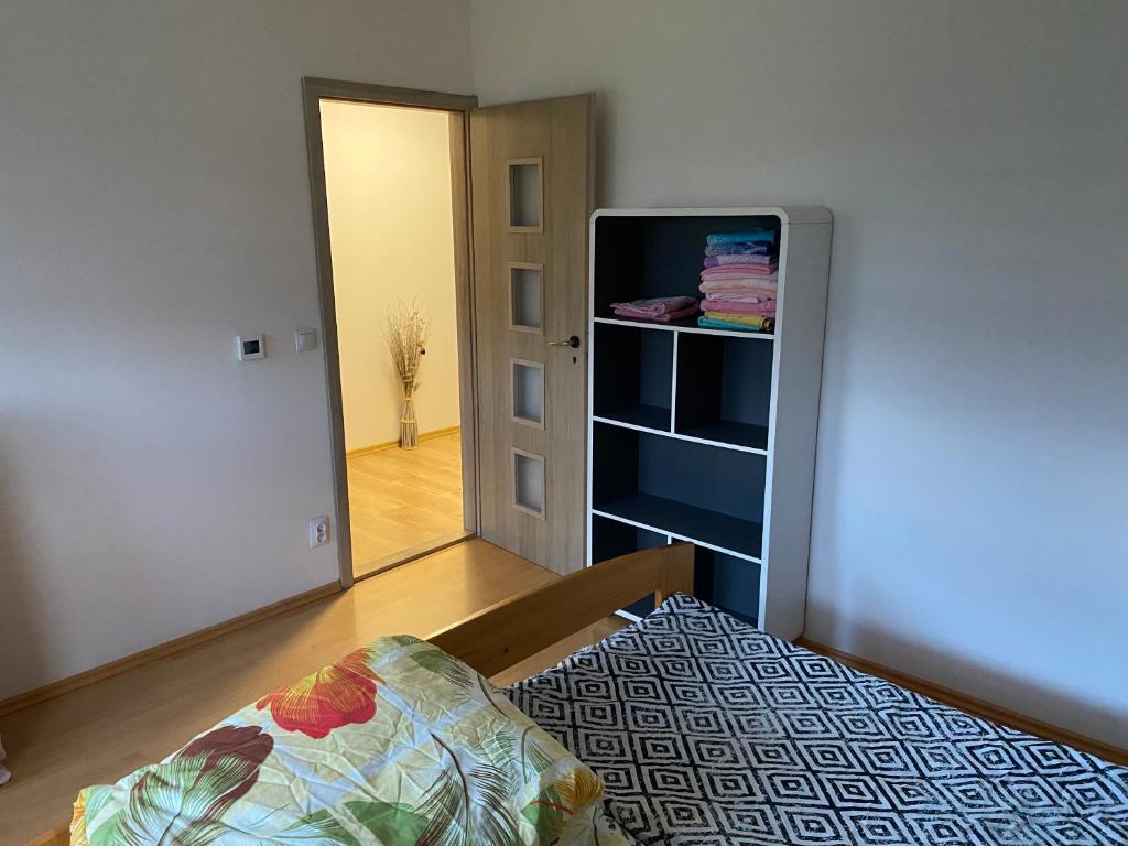 a room with a bed and a book shelf at W apartmán 2 in Teplice nad Metují