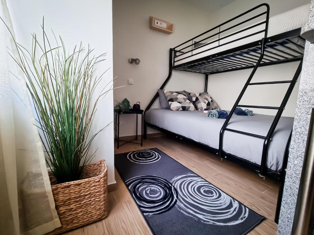 - une chambre avec des lits superposés et un tapis dans l'établissement Cantinho do Chico, à Vila Nova de Gaia