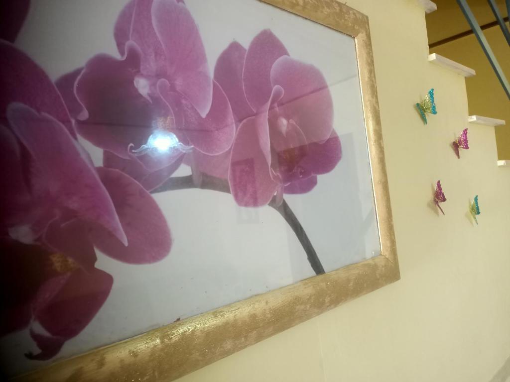 Fotografie z fotogalerie ubytování Casa Sole v destinaci Vetralla