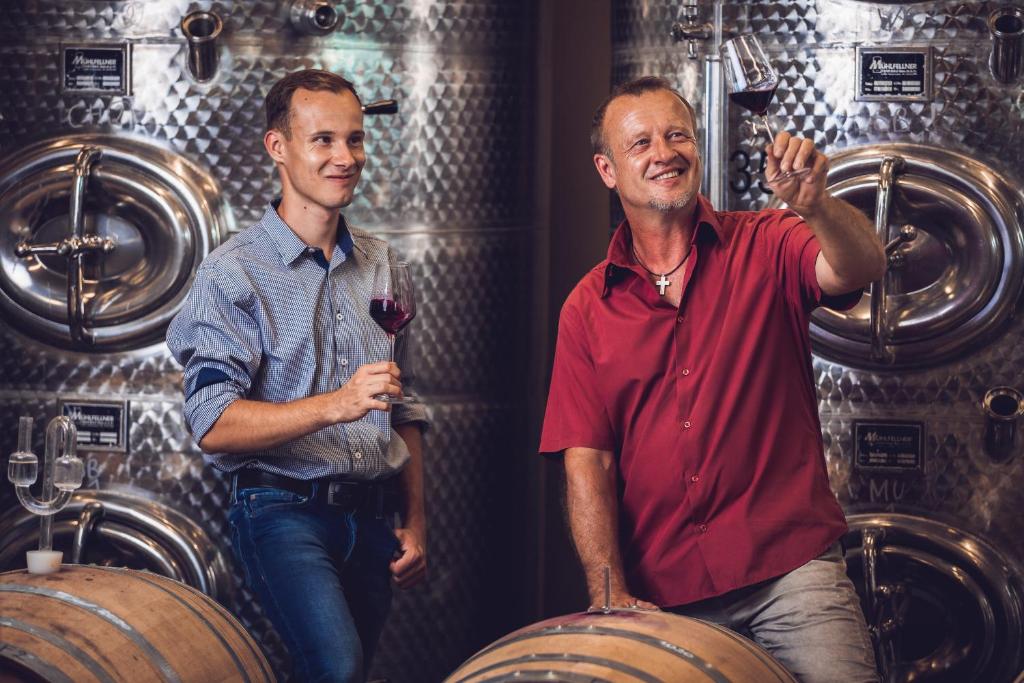 Hosté ubytování Weingut-Gästehaus Birnstingl