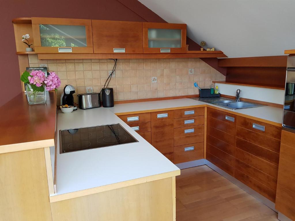 Kuchyň nebo kuchyňský kout v ubytování Fado Apartments Lendava