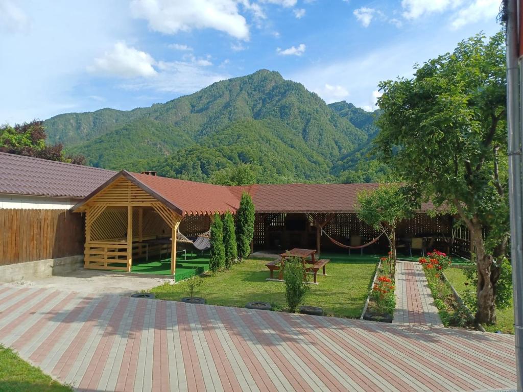a building with a picnic table and mountains in the background at Camere Ema in Brezoi