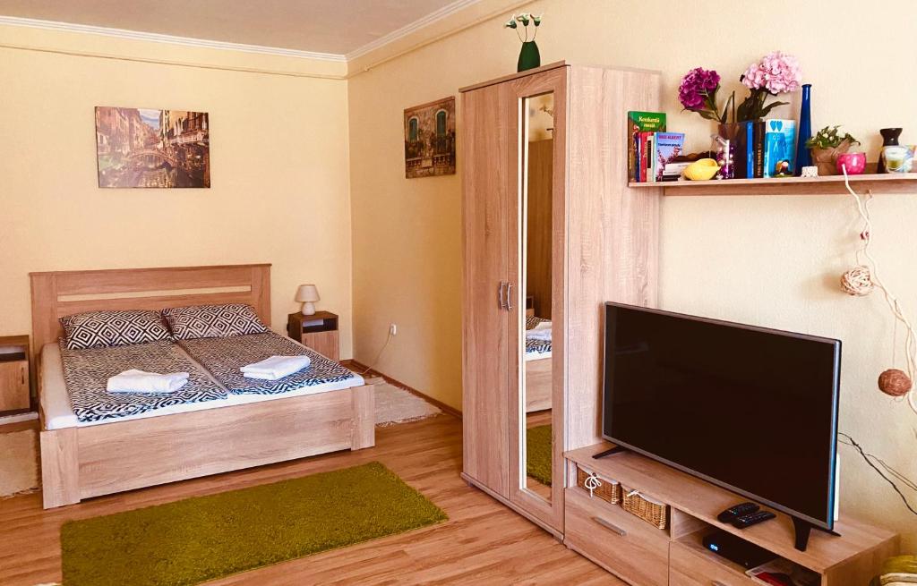 ein kleines Schlafzimmer mit einem Bett und einem TV in der Unterkunft Victoria Apartman in Eger
