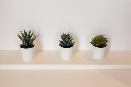 Charmant T2 Place de Lerme - 11