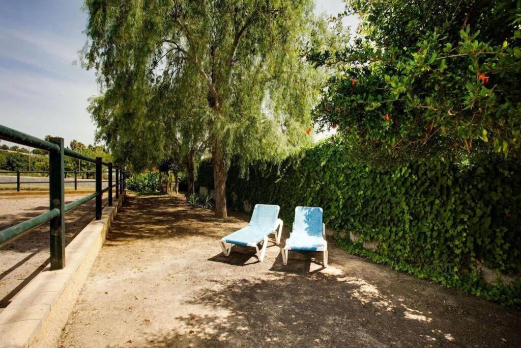 Vonkajšia záhrada v ubytovaní Finca El Altabacar - Casa Rural - Playa