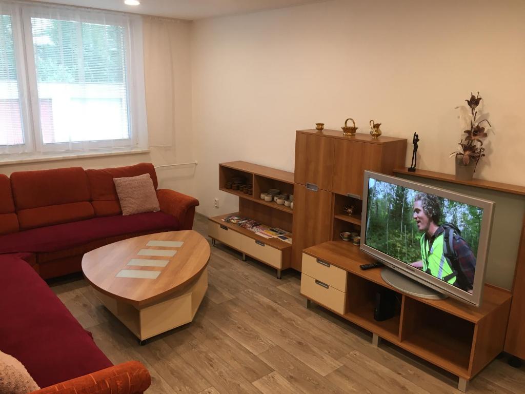 sala de estar con sofá y TV en Ubytování Puškinova, en Vyškov