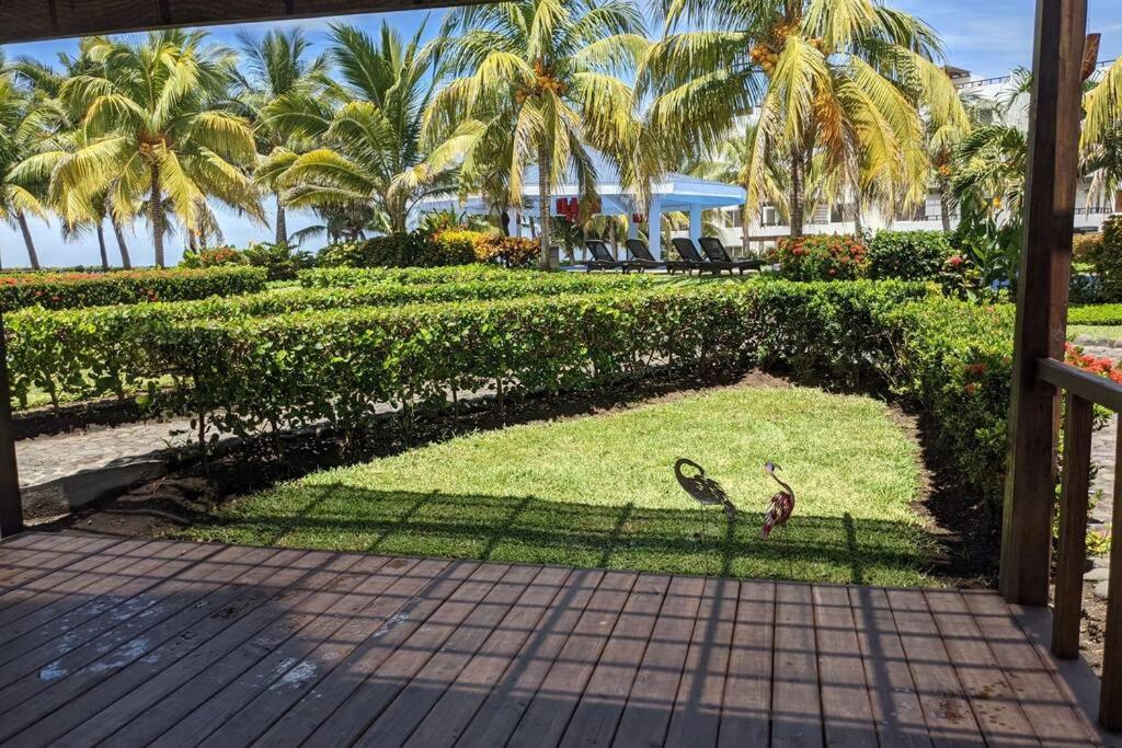 two birds standing on a lawn with palm trees in the background at El Muelle, Hermoso y cómodo apartamento in Monterrico