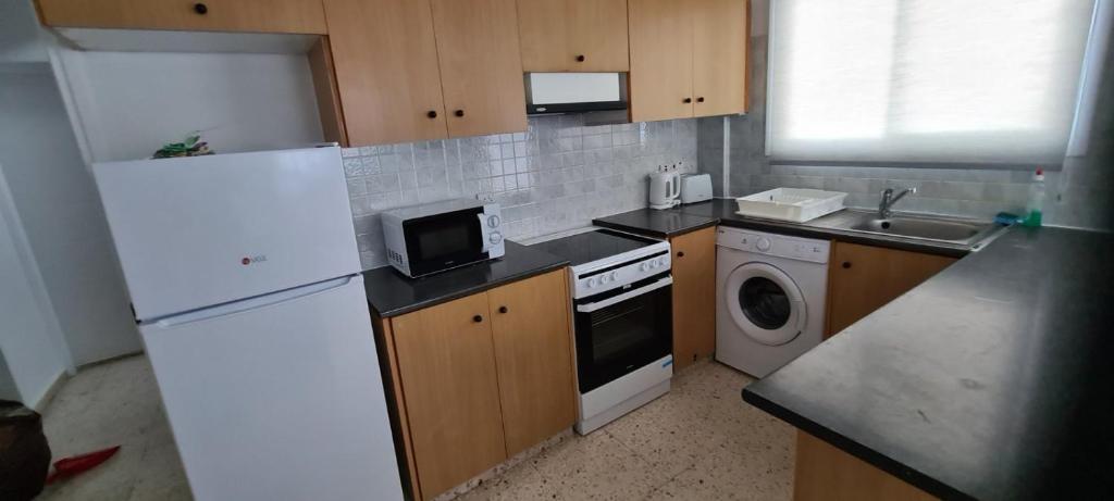 Kuchyň nebo kuchyňský kout v ubytování Latchi Area Apartments