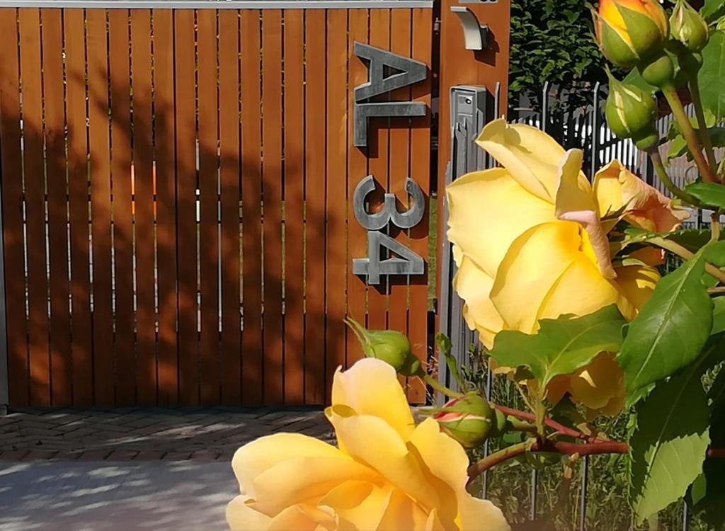 um portão com uma flor amarela ao lado de uma cerca em Apartment AL34 em La Morra