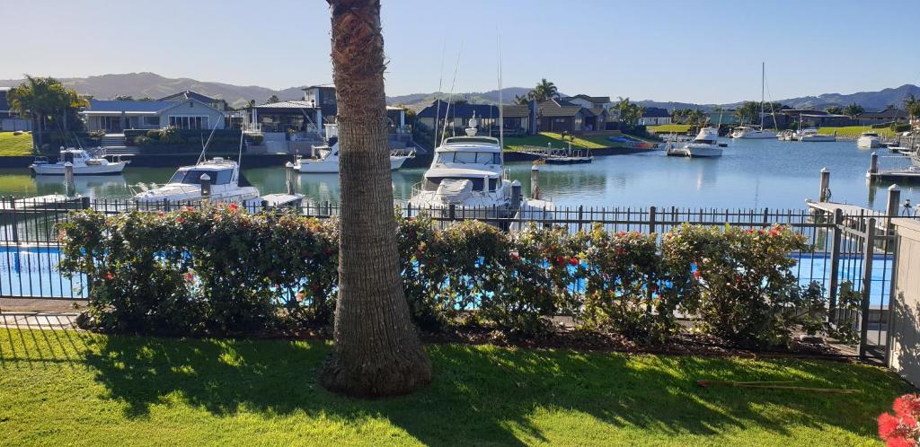 Waterways Renaissance \ - Resim 11