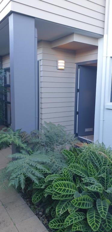 Waterways Renaissance \ - Resim 42