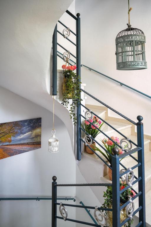 Amazing Place in Pedini - 17