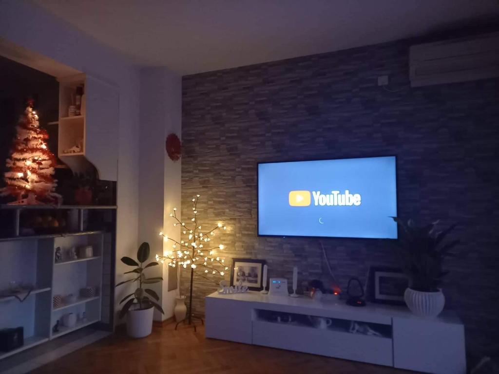 TV a/nebo společenská místnost v ubytování Apartman Petra