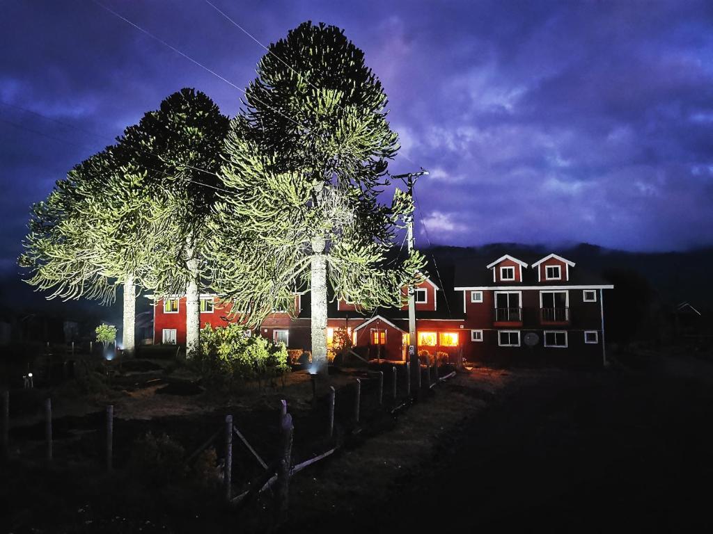 ein Haus mit einem Baum in der Nacht davor in der Unterkunft Hostal Piedra Santa in Malalcahuello