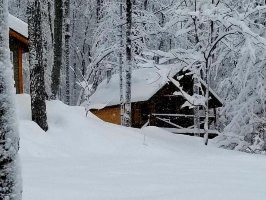 a cabin covered in snow in the woods at Les Cabines Nordik 2.0 in Shawinigan