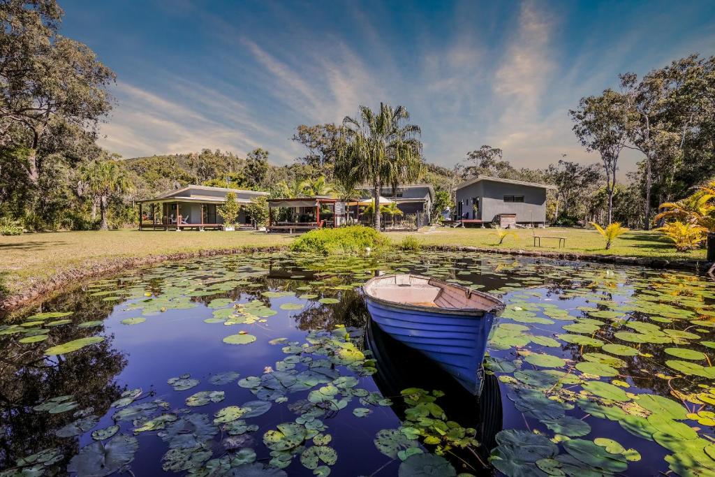 a boat sitting in a pond with lily pads at Agnes Water Stays over18's in Agnes Water