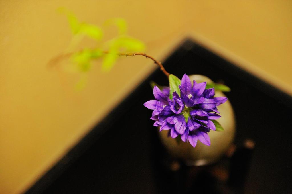 Fotografie z fotogalerie ubytování Shirafune Grand Hotel v destinaci Macumoto