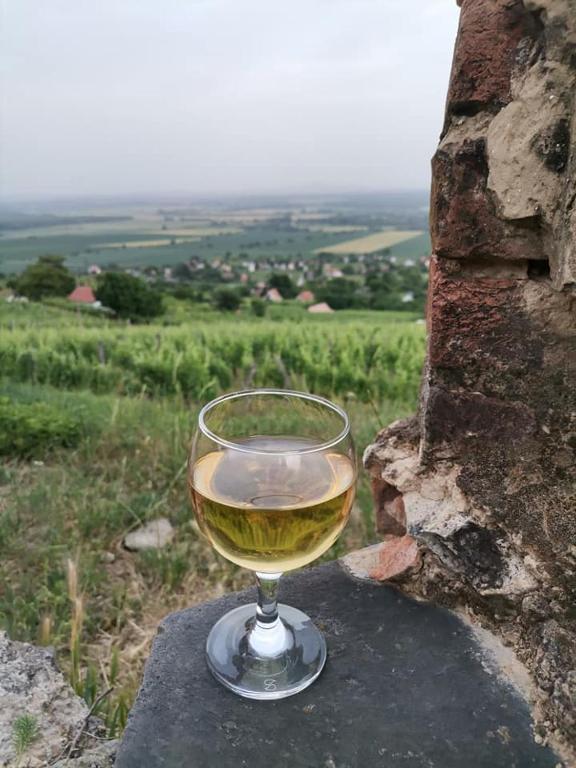 Nápoje v ubytovaní Recece vendégház