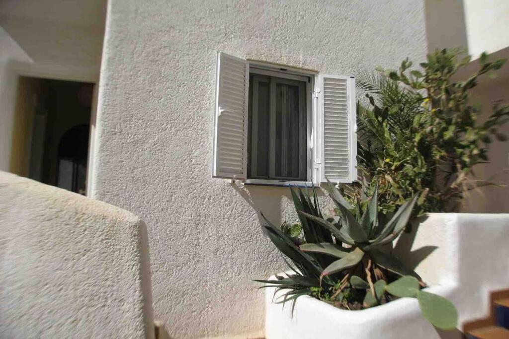 Fotografie z fotogalerie ubytování Apartamento a 2 minutos andando a la playa. v destinaci La Isleta del Moro