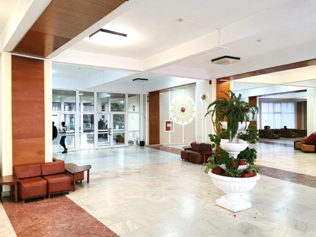 Vstupní hala nebo recepce v ubytování Hotel Muncel Băile Felix