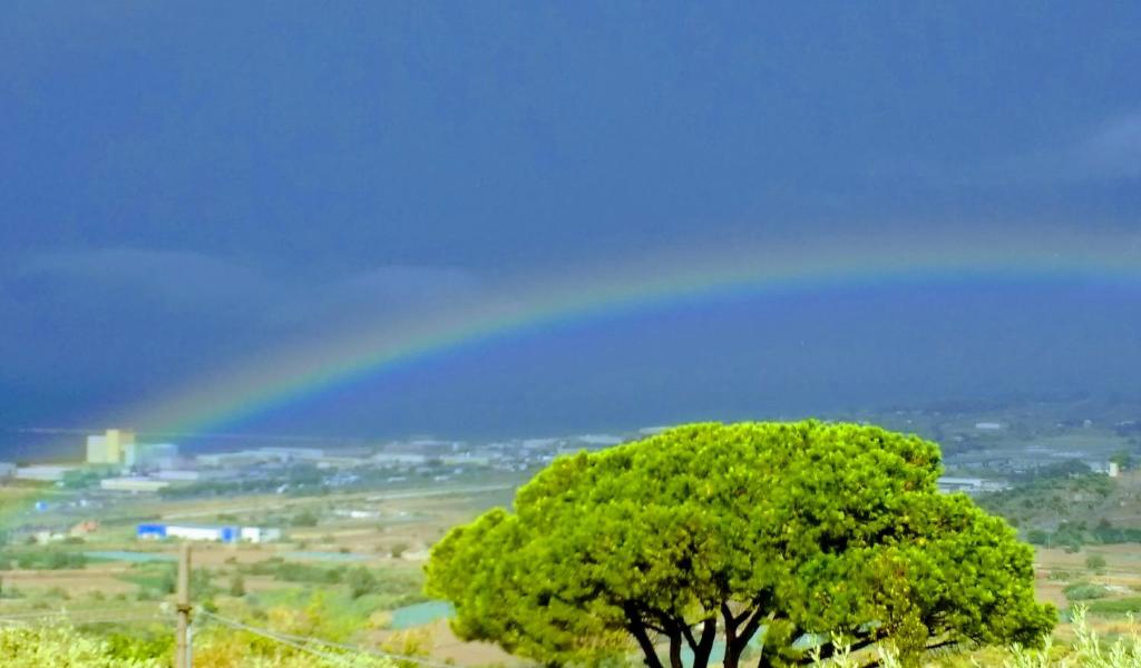 a rainbow in the sky over a green tree at La Casa in Villaggio Tedeschi