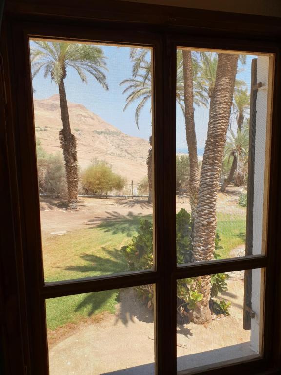 ein Fenster mit Blick auf eine Palme in der Unterkunft הצימר של יהושע in Ein Gedi