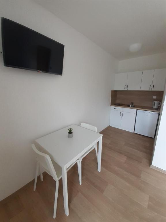 Köök või kööginurk majutusasutuses Valen apartmány Valtice