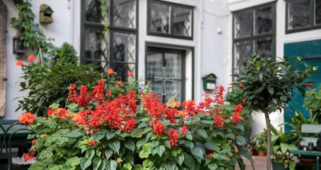 Zahrada ubytování Gästehaus Deutscher Orden Wien