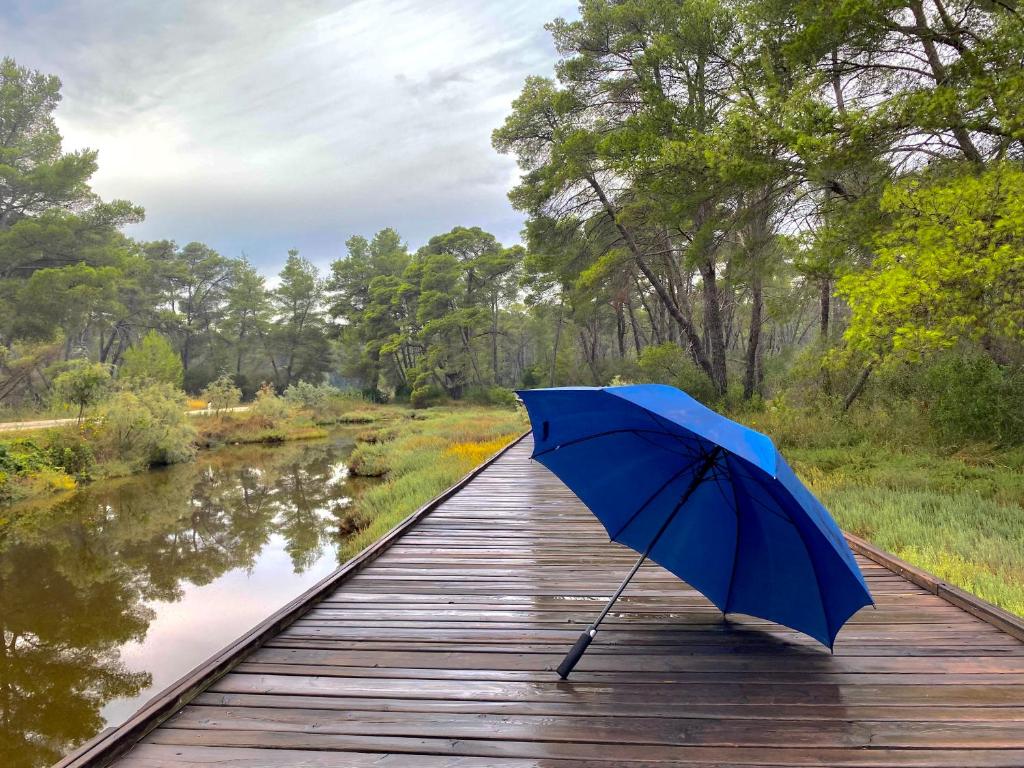 Příroda nedaleko apartmánu