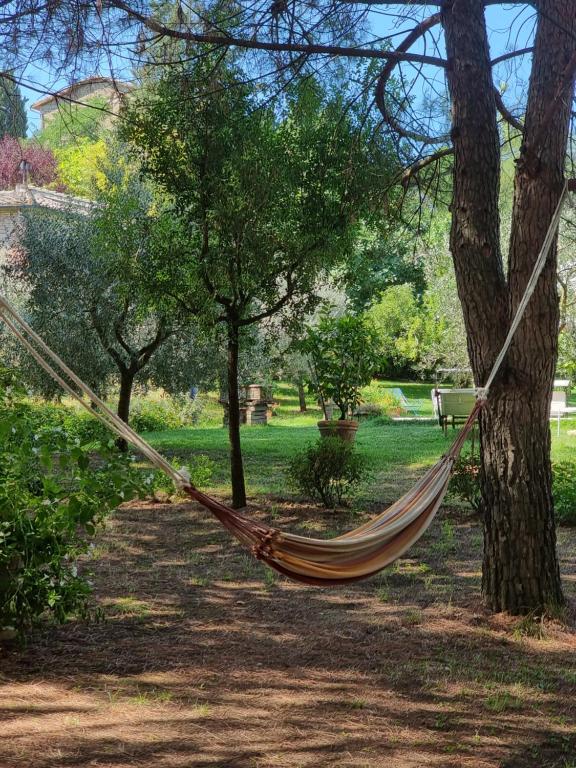 Zahrada ubytování Villa Vignacce - Boutique Country Resort