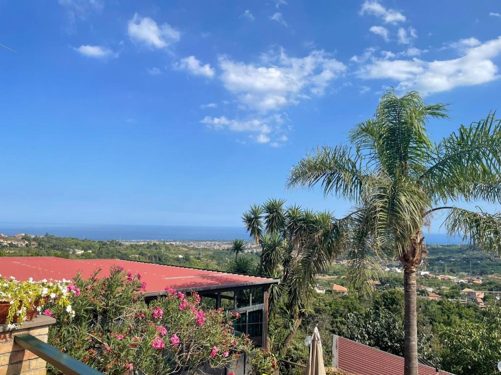 Il noceto dell'Etna - 14