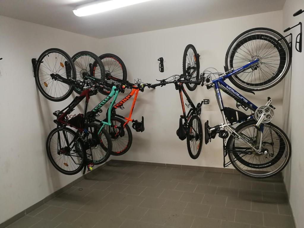 Jízda na kole v ubytování Penzion Starovice nebo okolí
