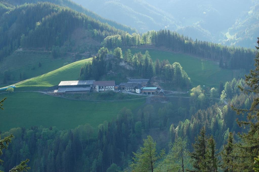 a house in the middle of a valley with trees at Biohof Sattler in Etmissl