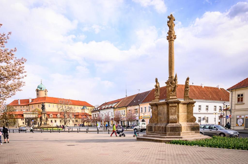 a statue in a square in a city with buildings at Vila Lumír in Poděbrady