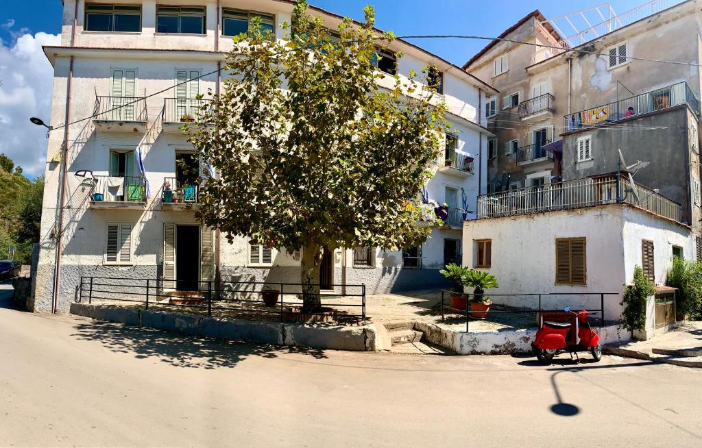 un edificio con un albero di fronte a una strada di Appartamento " La Via delle Barche " a Marina di Camerota