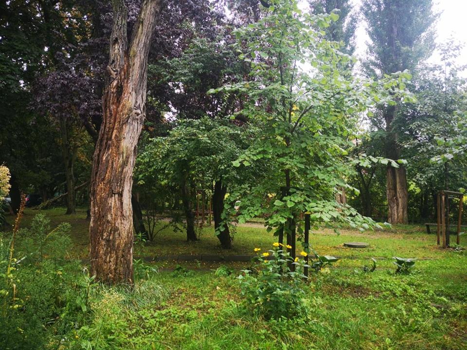 Fotografia z galérie ubytovania Apartament Wróblewski v destinácii Gdansk