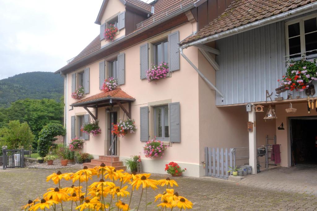 una casa con fiori gialli di fronte di Gite du Site du Hohneck a Metzeral